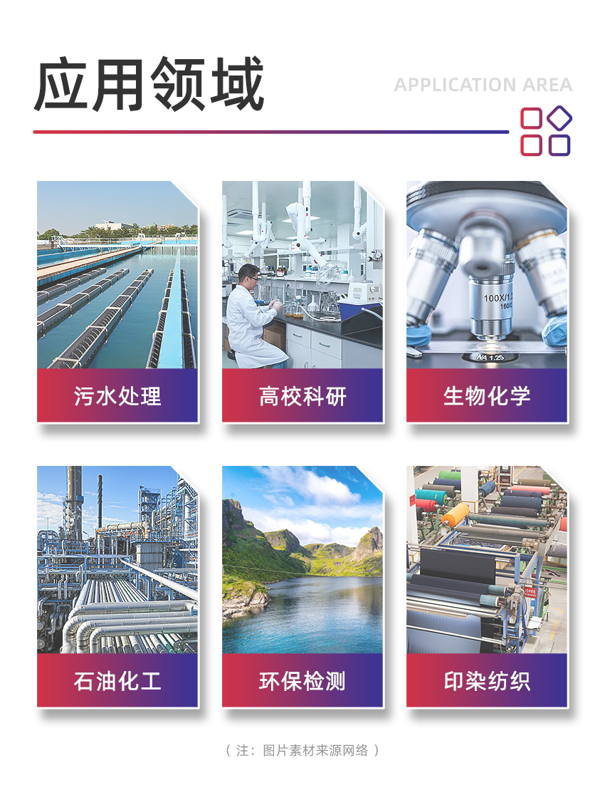 白姐全年正版王中王