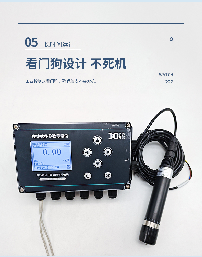 白姐全年正版王中王