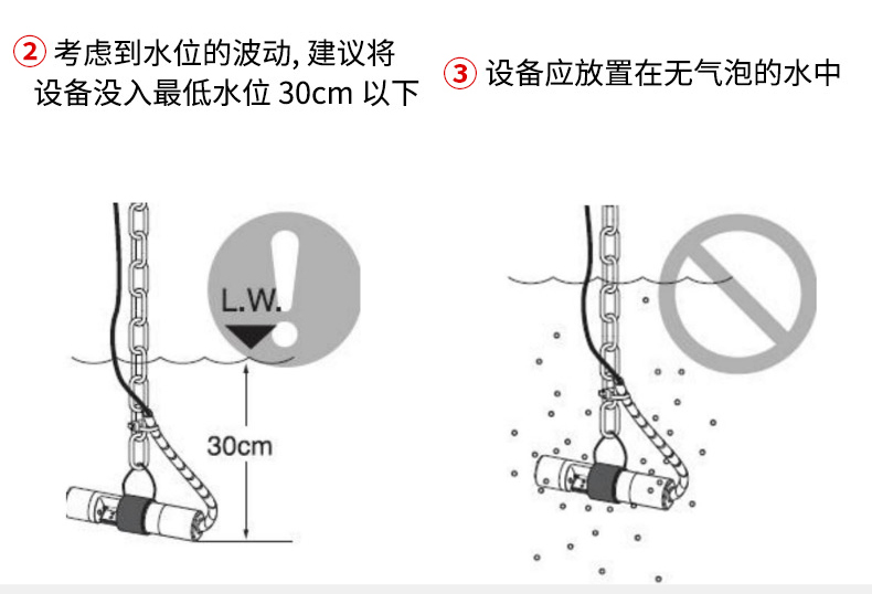 白姐全年正版王中王