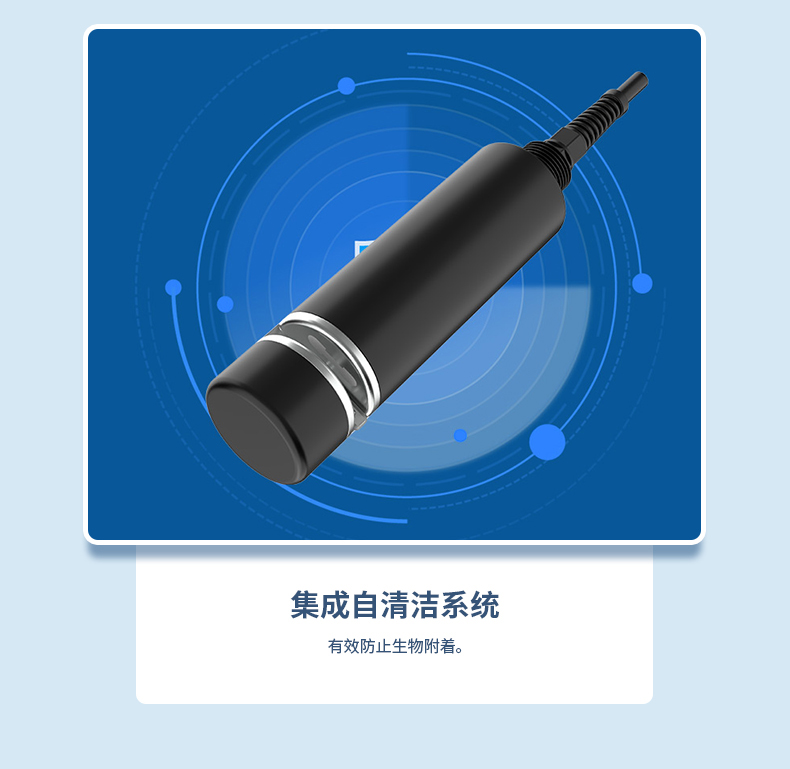 白姐全年正版王中王