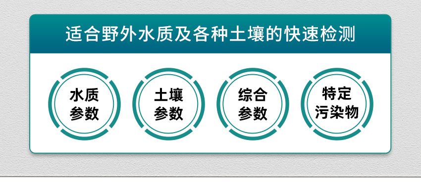 白姐全年正版王中王