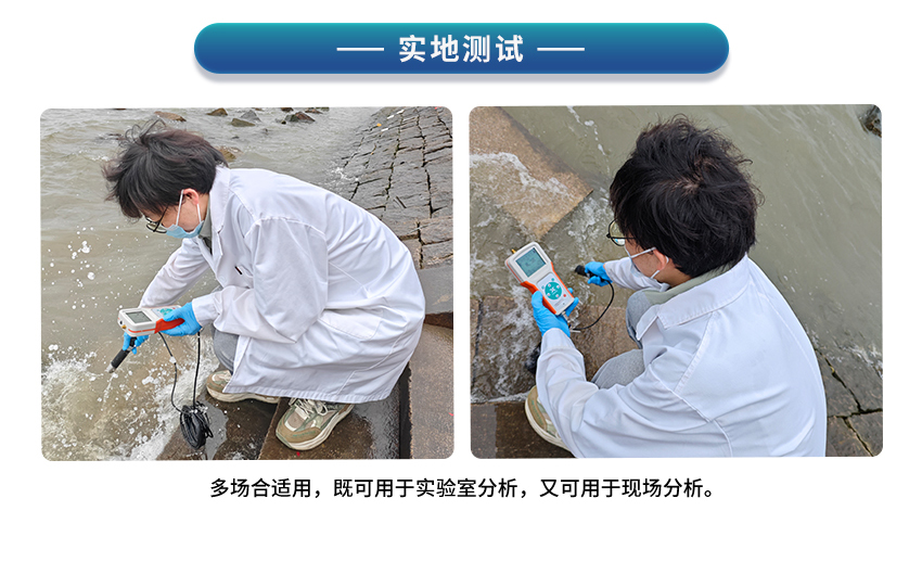白姐全年正版王中王