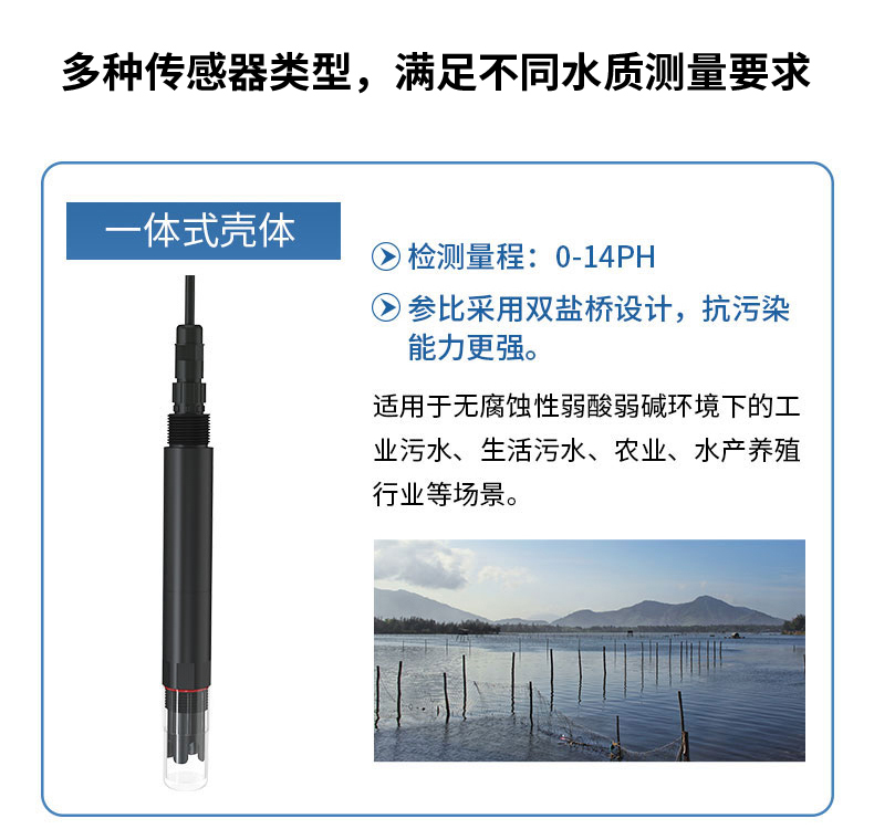 白姐全年正版王中王