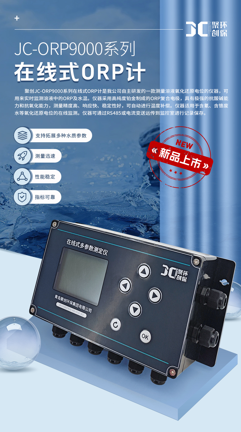 白姐全年正版王中王