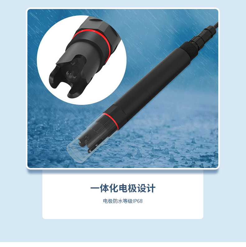 白姐全年正版王中王